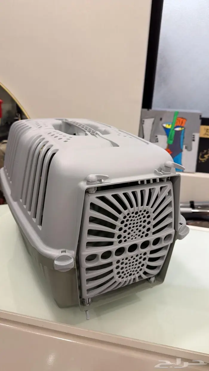 للتبني قط عمر 3 شهور مطعم بكامل اغراضه 5