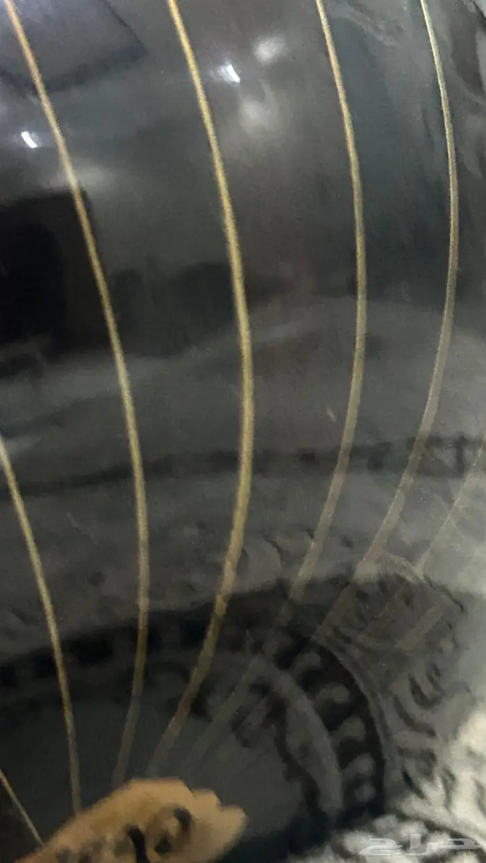 عود موسيقى البيع عجل 2