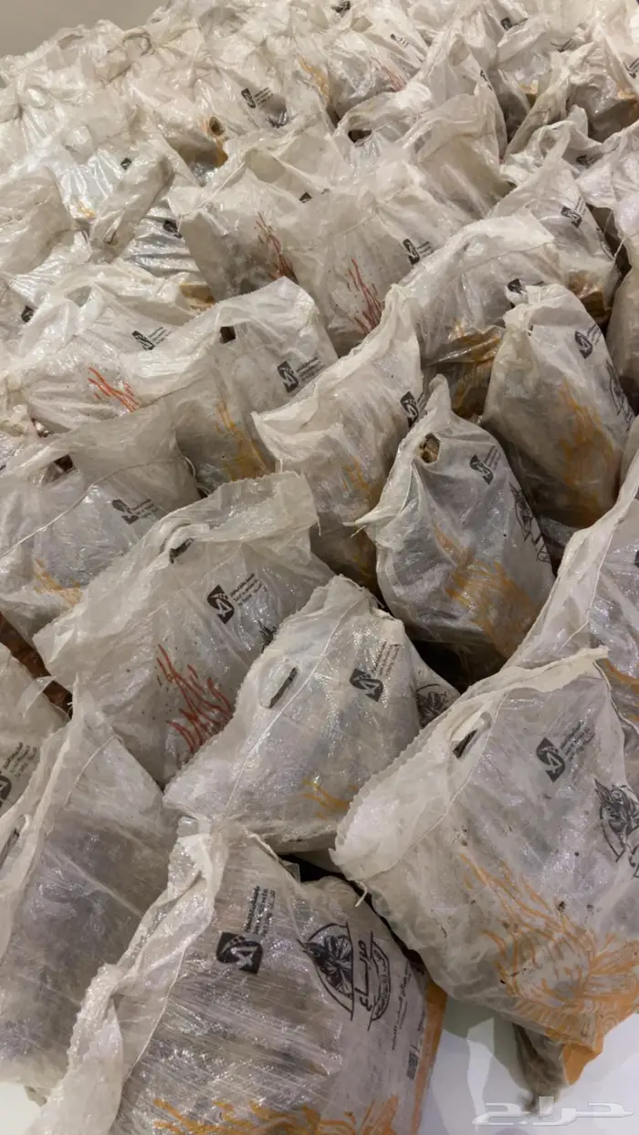 حطب افريقي 10 كيلو 0