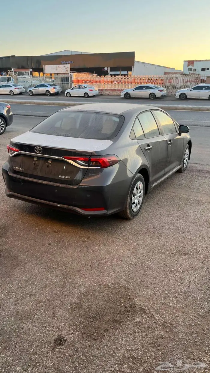 كورولا ستاندر 2025 4