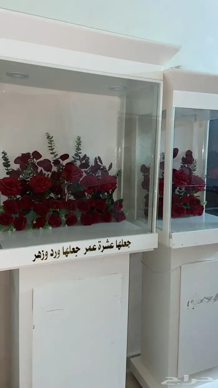 دولاب ملكة جديد 1