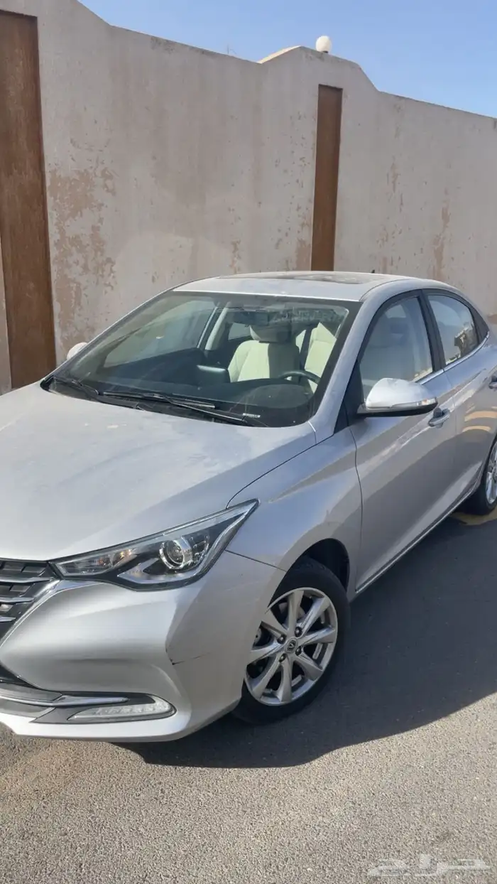 شانجان السفن 2022 4