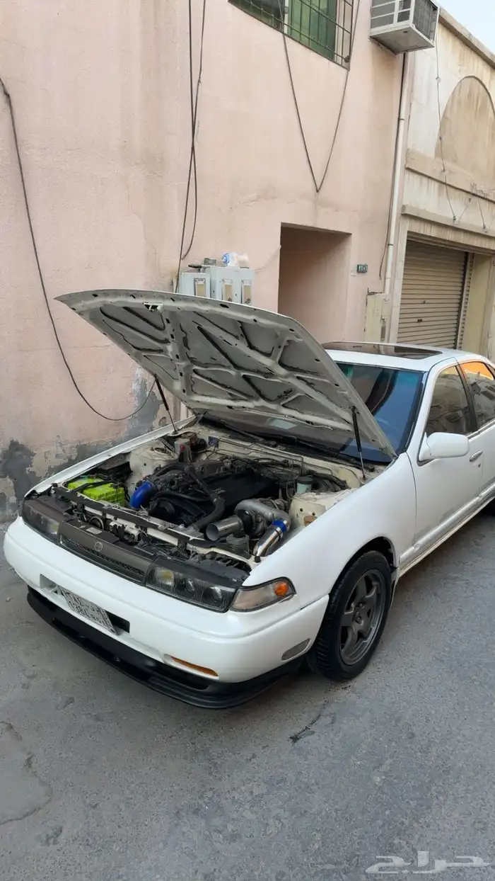 للبيع التيمه 95 معدله 8