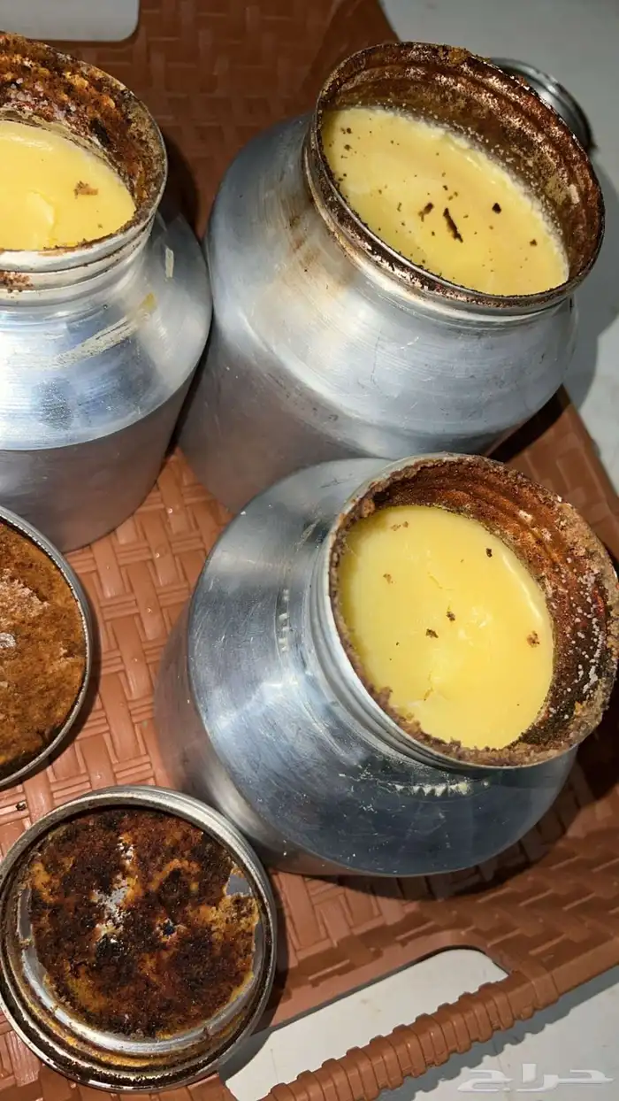 سمن غنم شغل بيت علا الذمه 1