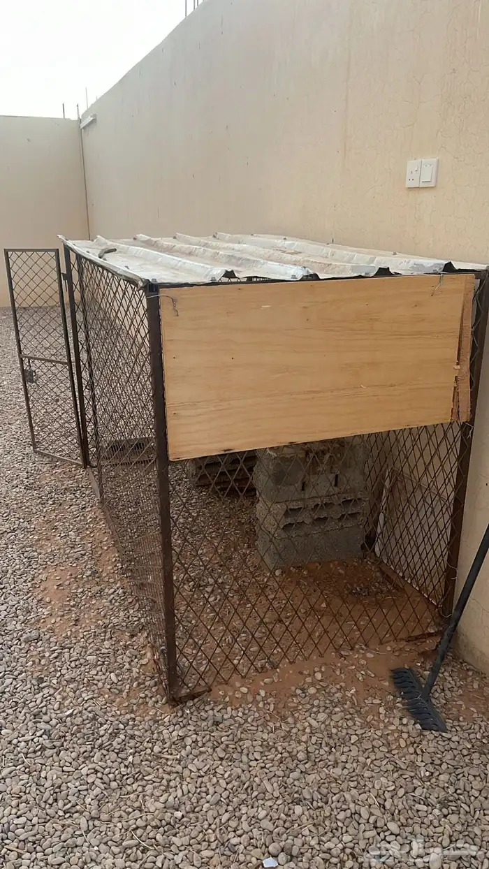 شبك حق دجاج حمام 1