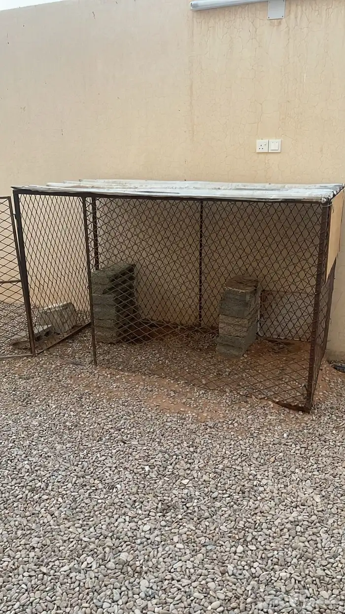 شبك حق دجاج حمام 0