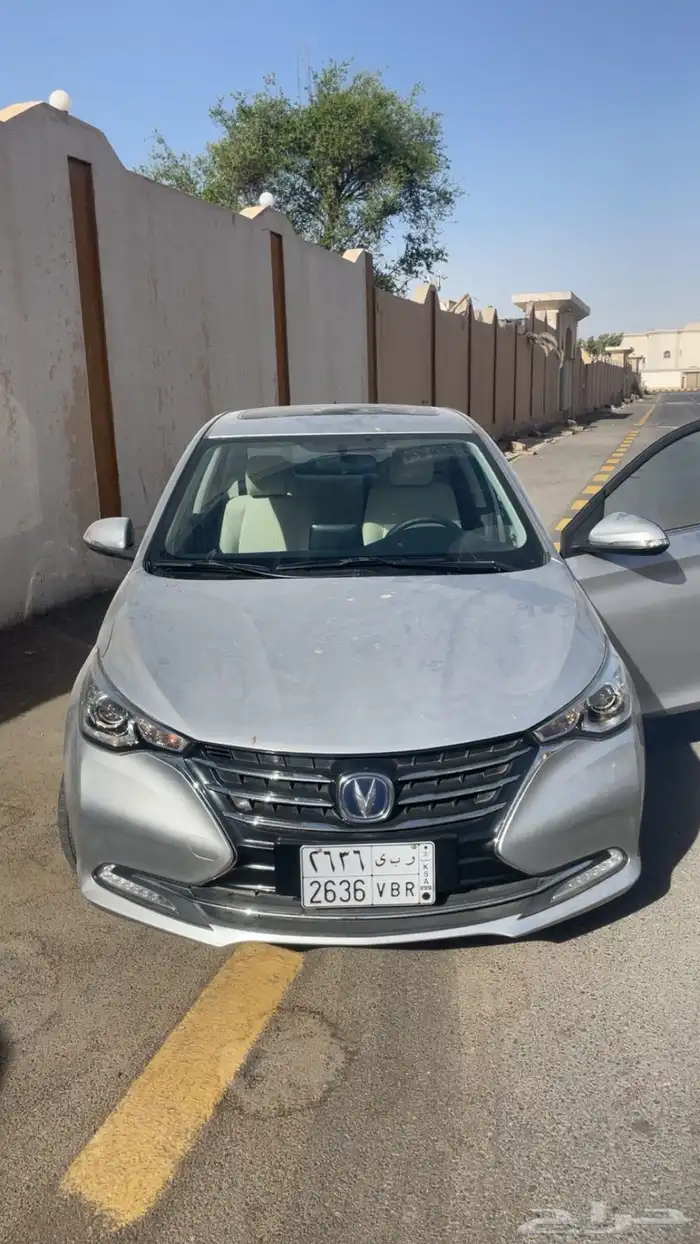 شانجان السفن 2022 2