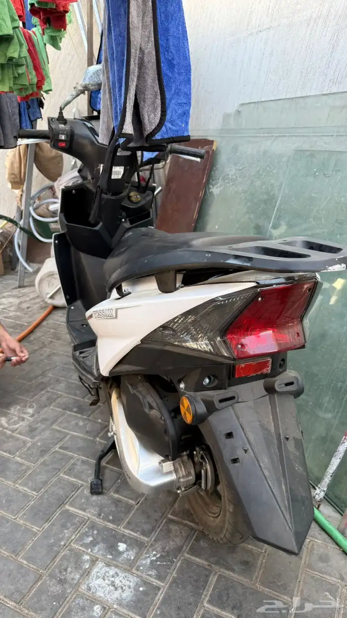 دباب عجيب الوسام ناري للبيع 0