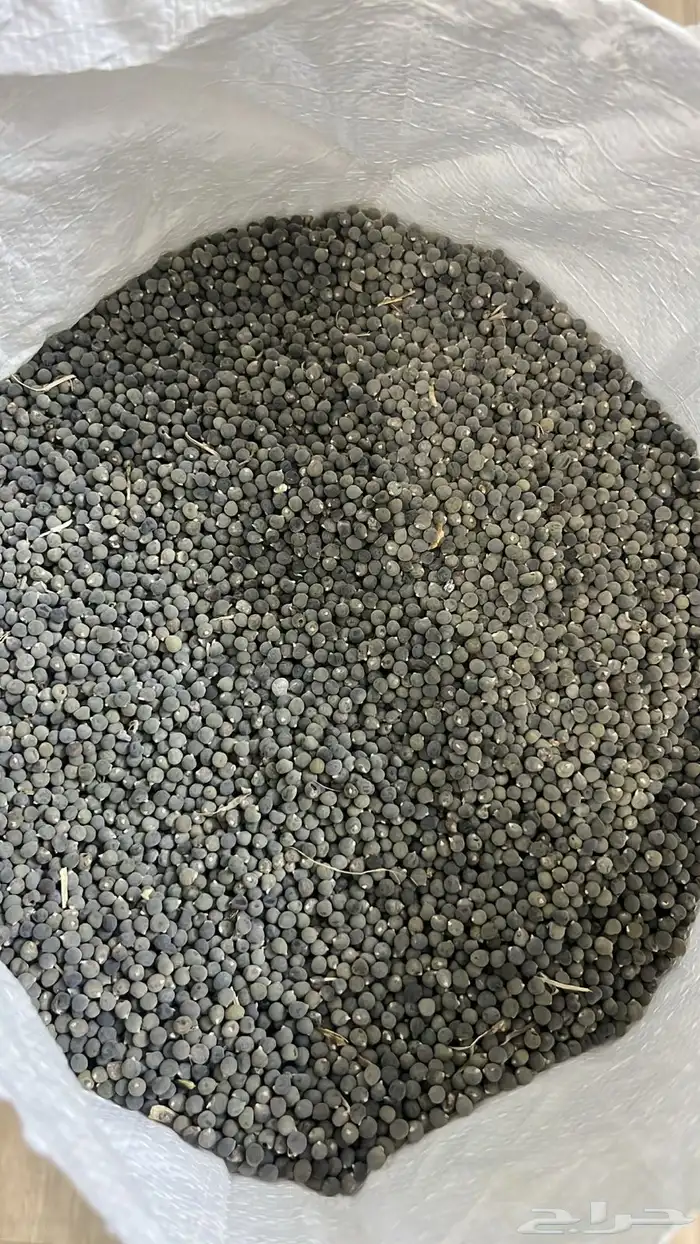 بذور بامية امريكي مفحل 0