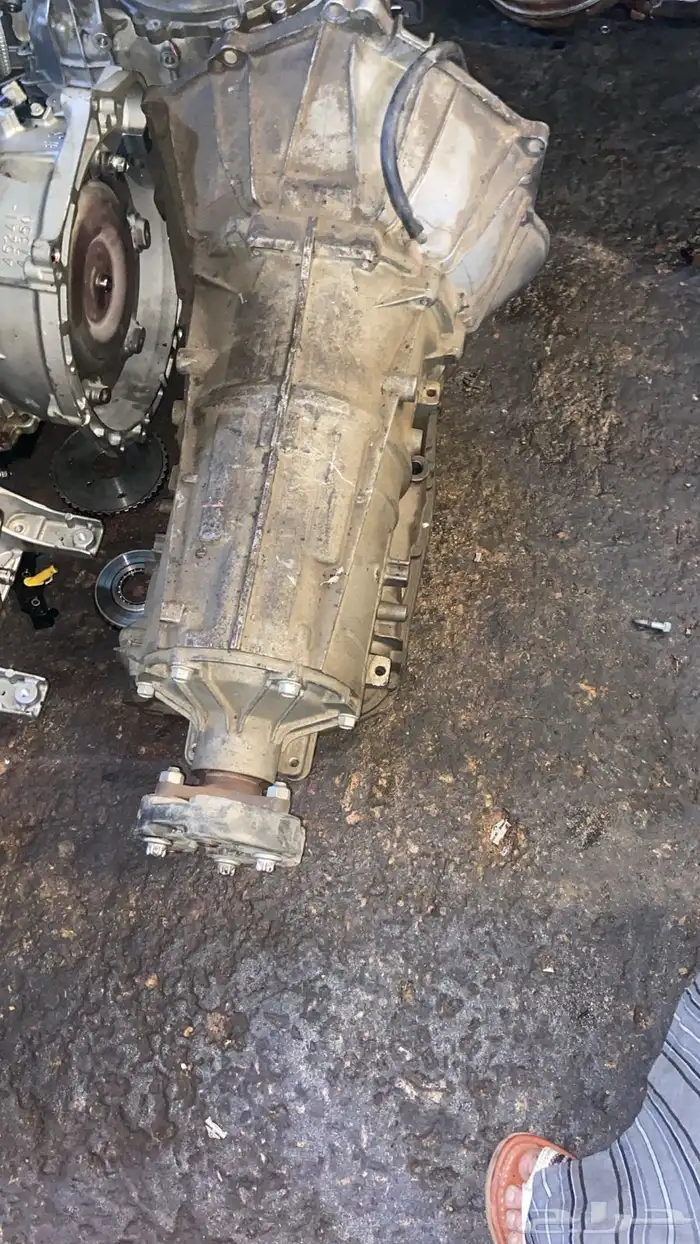 يوجد لدينا قيرات تورس 1