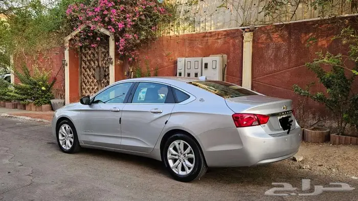 أمبالا موديل 2019 19