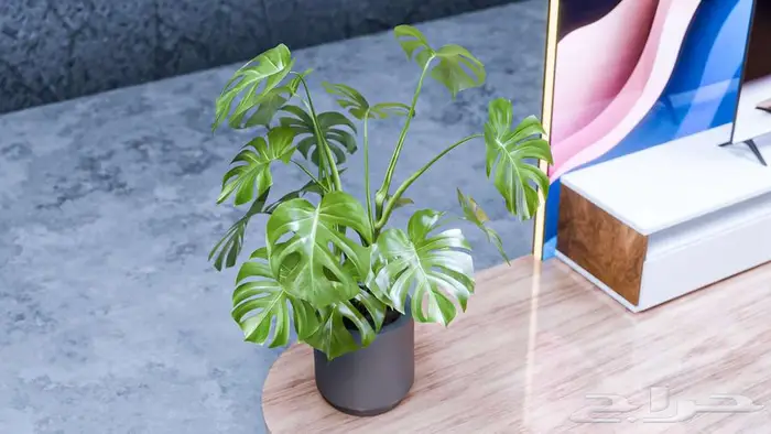 تصميم و تنفيذ بوثات معارض مصنع متخصص في التنفيذ 3