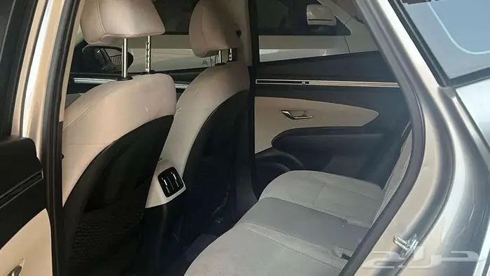 توسان 2022 فضي 10