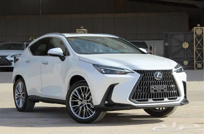 لكزس - NX 350 - CC - فل كامل - خليجي - 2025 2