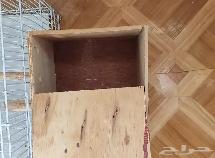 أقفاص طيور 4