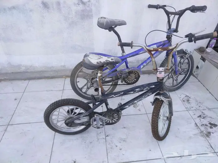 سيكل كوبرا 2