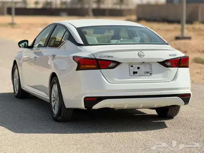 التيما 2023 index