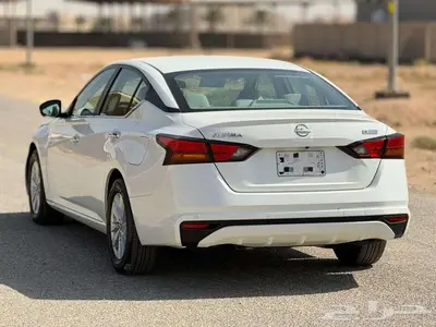 التيما 2023 index