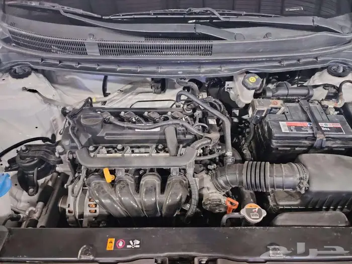 كيا بيجاس 2023 19