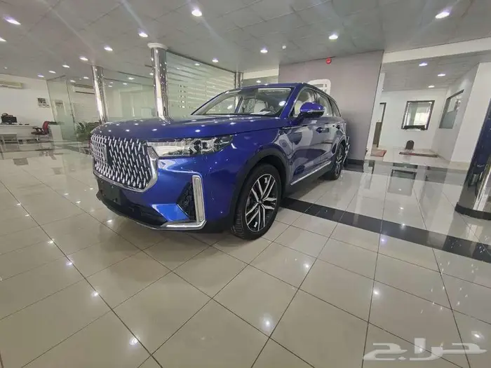 بيستون t99 2023 ليموزين اسود وازرق 0