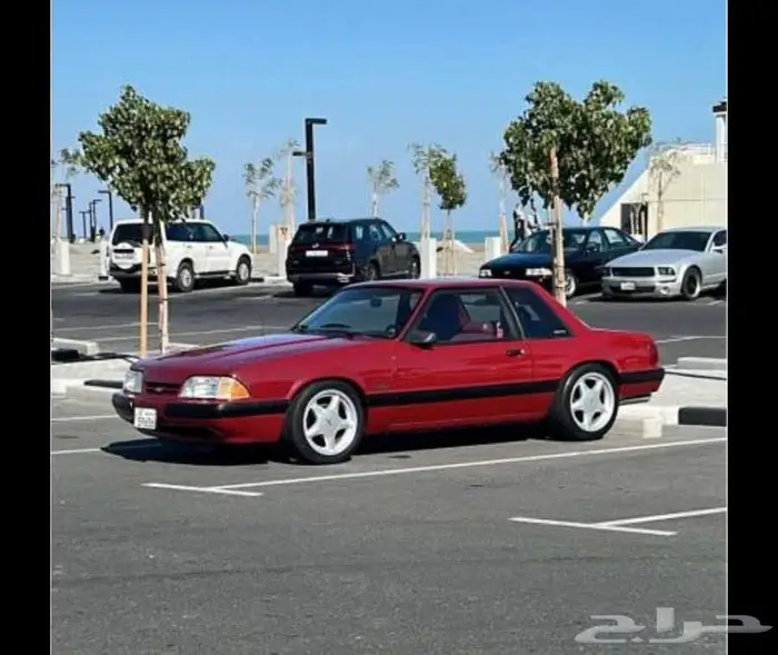 مطلوب موستنغ LX 0