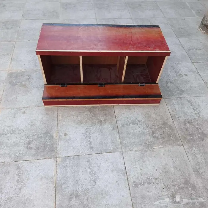 بياضة دجاج على السوم 0