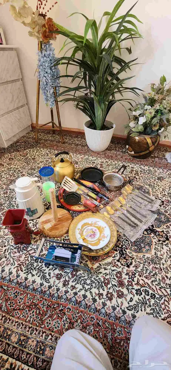 ادوات منزلية 2 كنب 3 اشجار كلها 1 صندوق مكتب بمفتاحه 12
