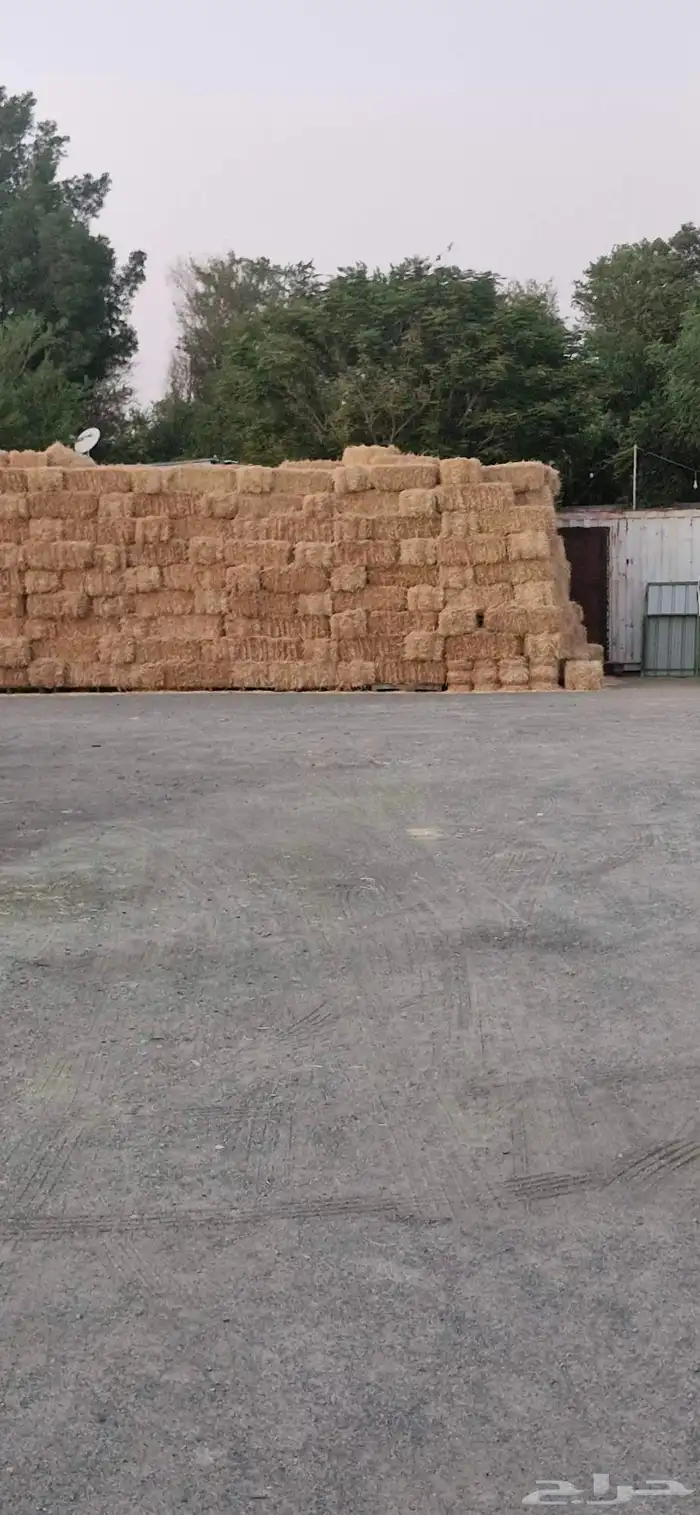 اعلاف الاغنام ولوازمها يوجد توصيل 13
