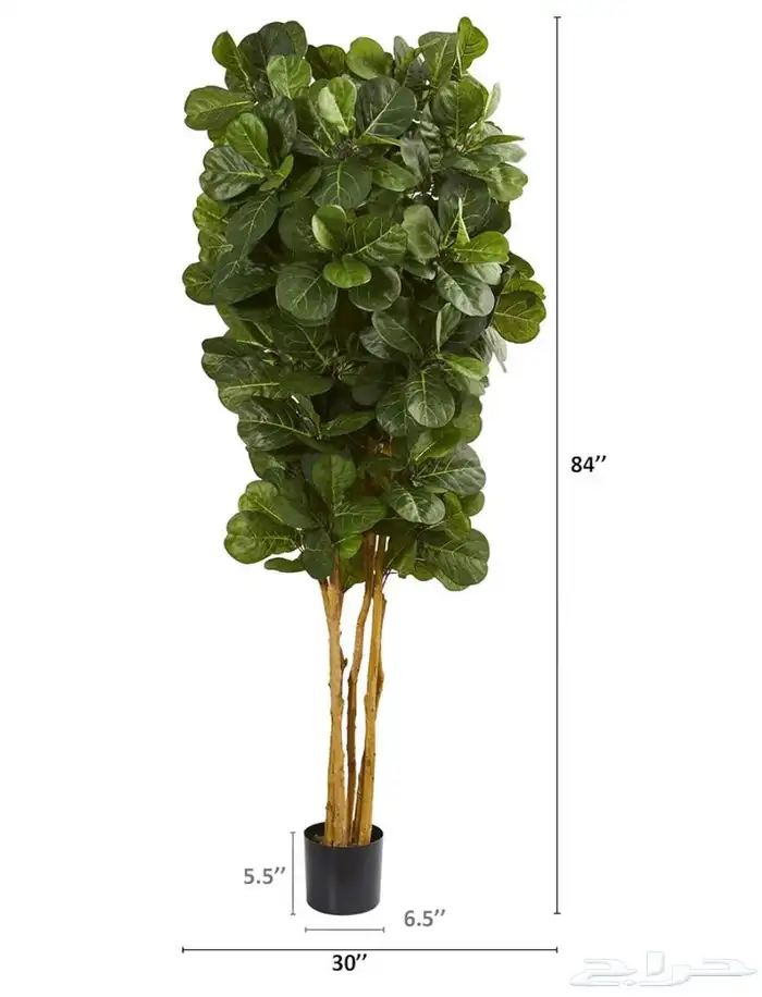 شجرة صناعيه لكن اغصانها طبيعيه 2