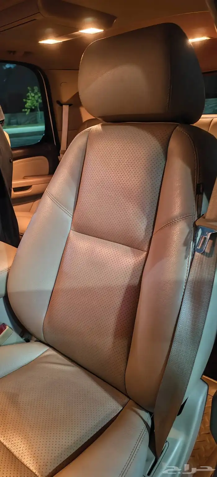 جمس دينالي 2010 13