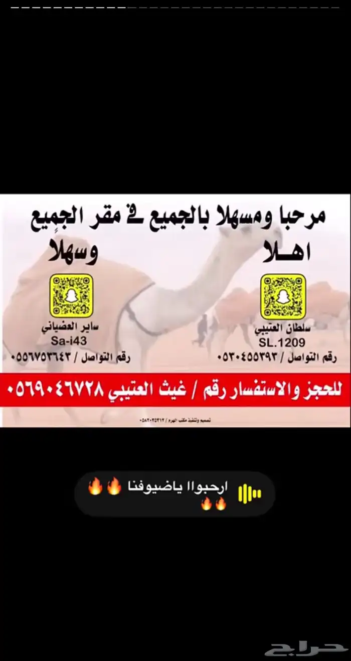 قعود فردي حيسوني 2