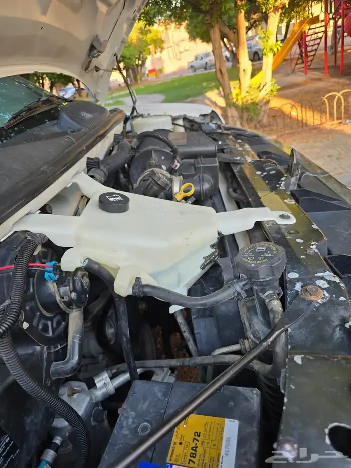 فان سافانا للبيع 15