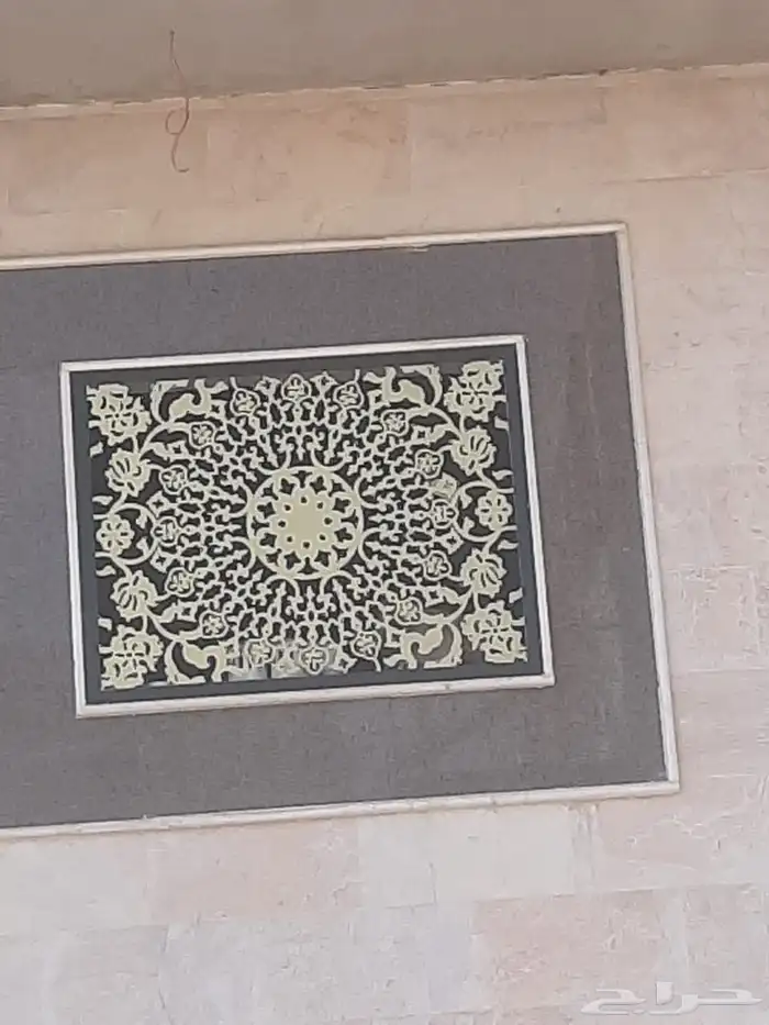 معلم حداد محمد فيصل   المدينه المنوره 5