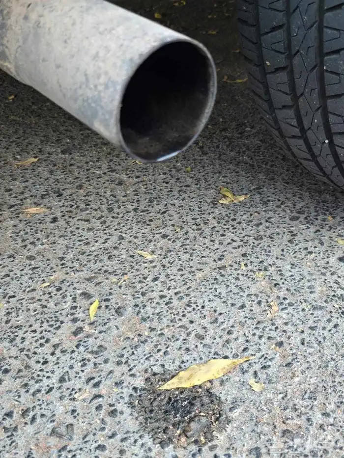 فان سافانا للبيع 12