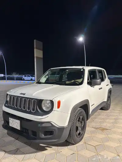 جيب رينيجيد index