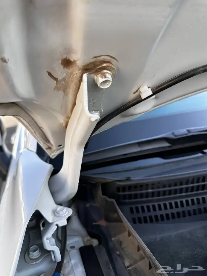 افالون تورنق 2021 12