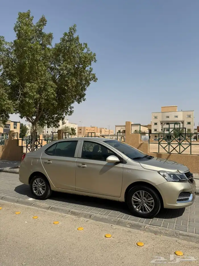 شيري اريزو 3 ذهبي 2020 5