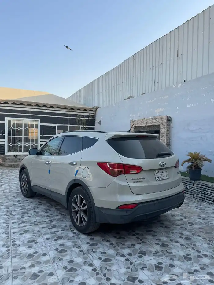 سنتافيا 2013 12