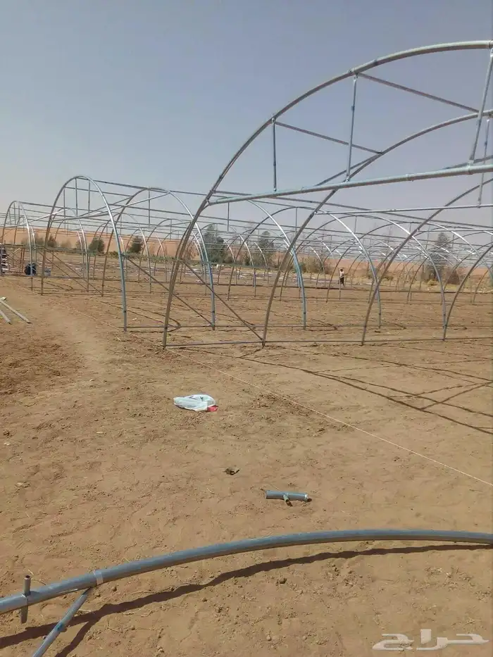 بيوت محميه اردنيه 2