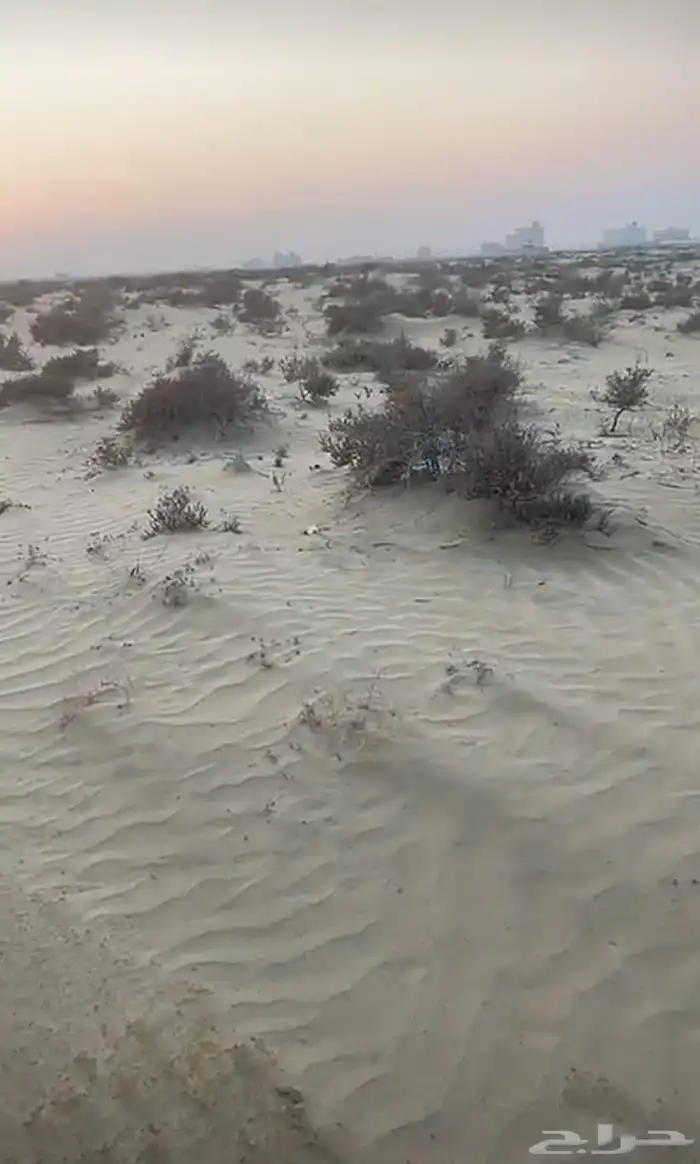 ارض البيع حي الشاطي 3 فرصة 1