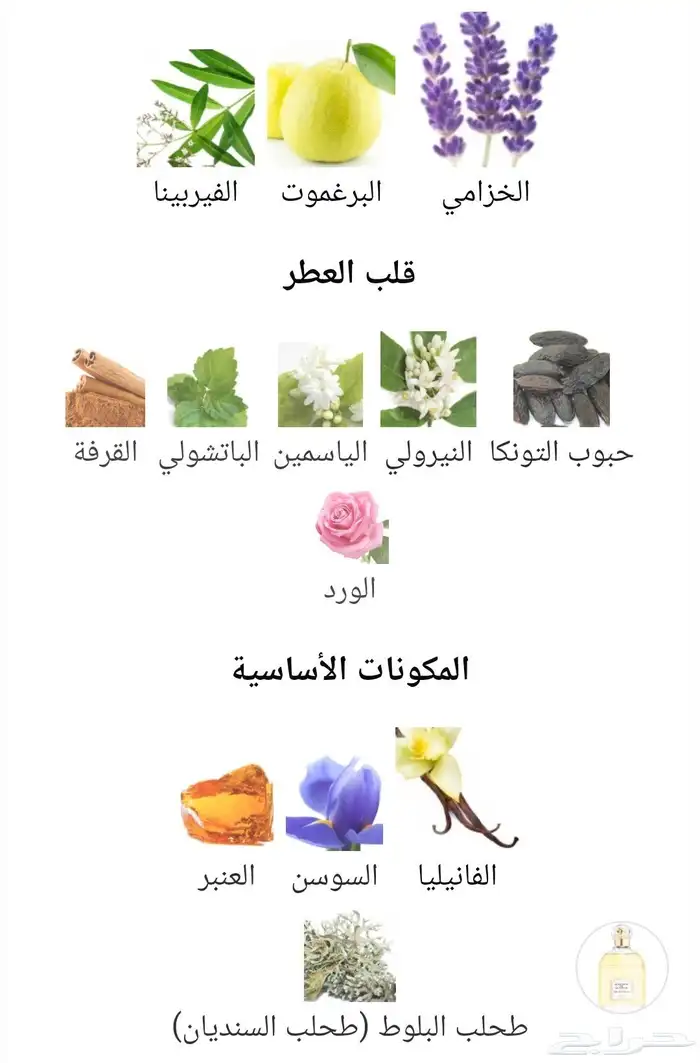 من نوادر جيرلان Mouchoir de Monsieur Guerlain 4