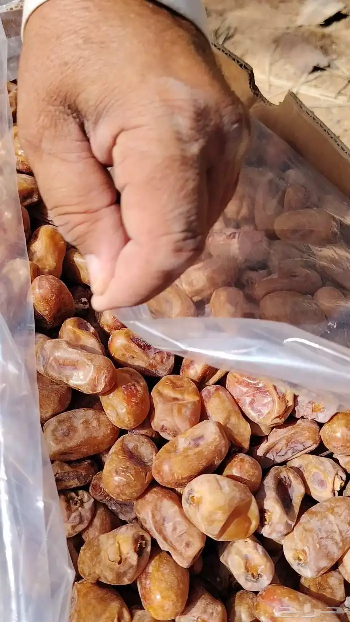 تمر اخلاص شقراء 0