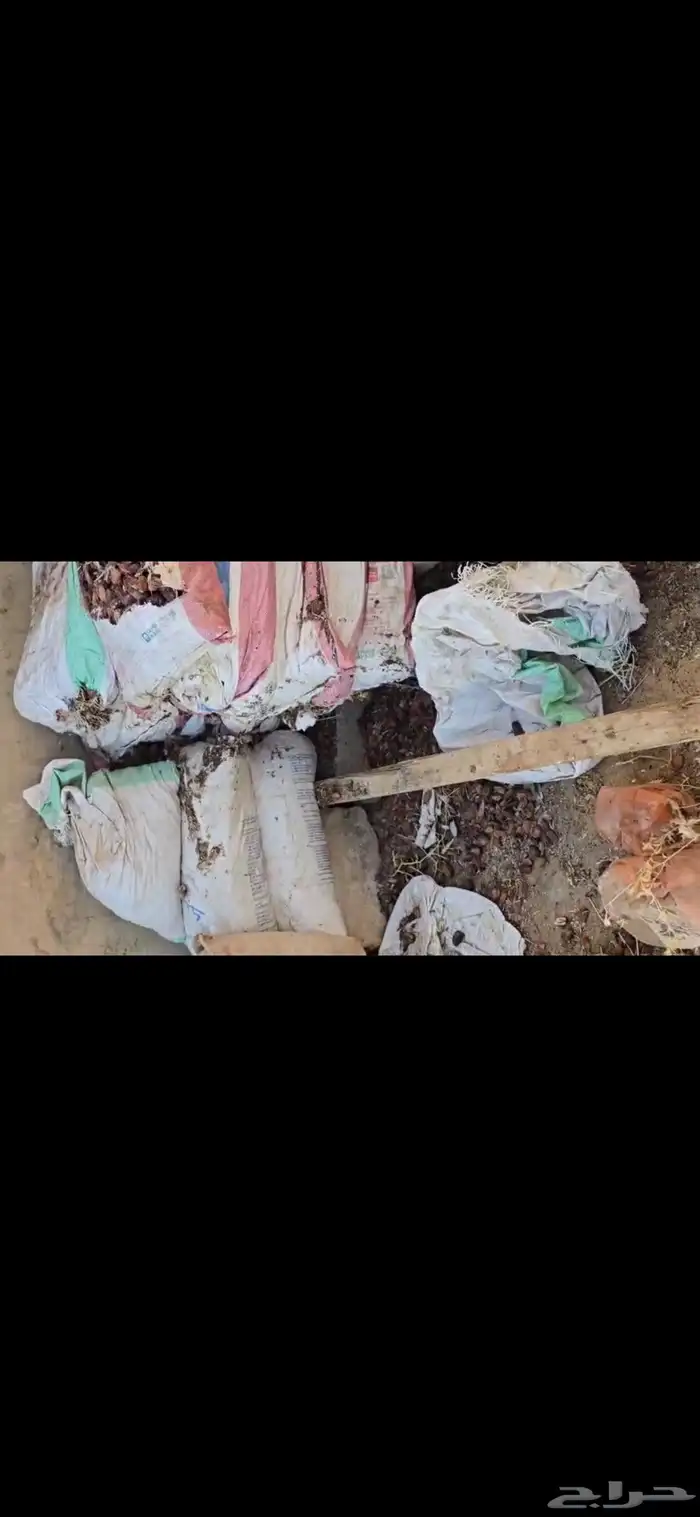 للبيع تمر حق العام ناشف شرط 6