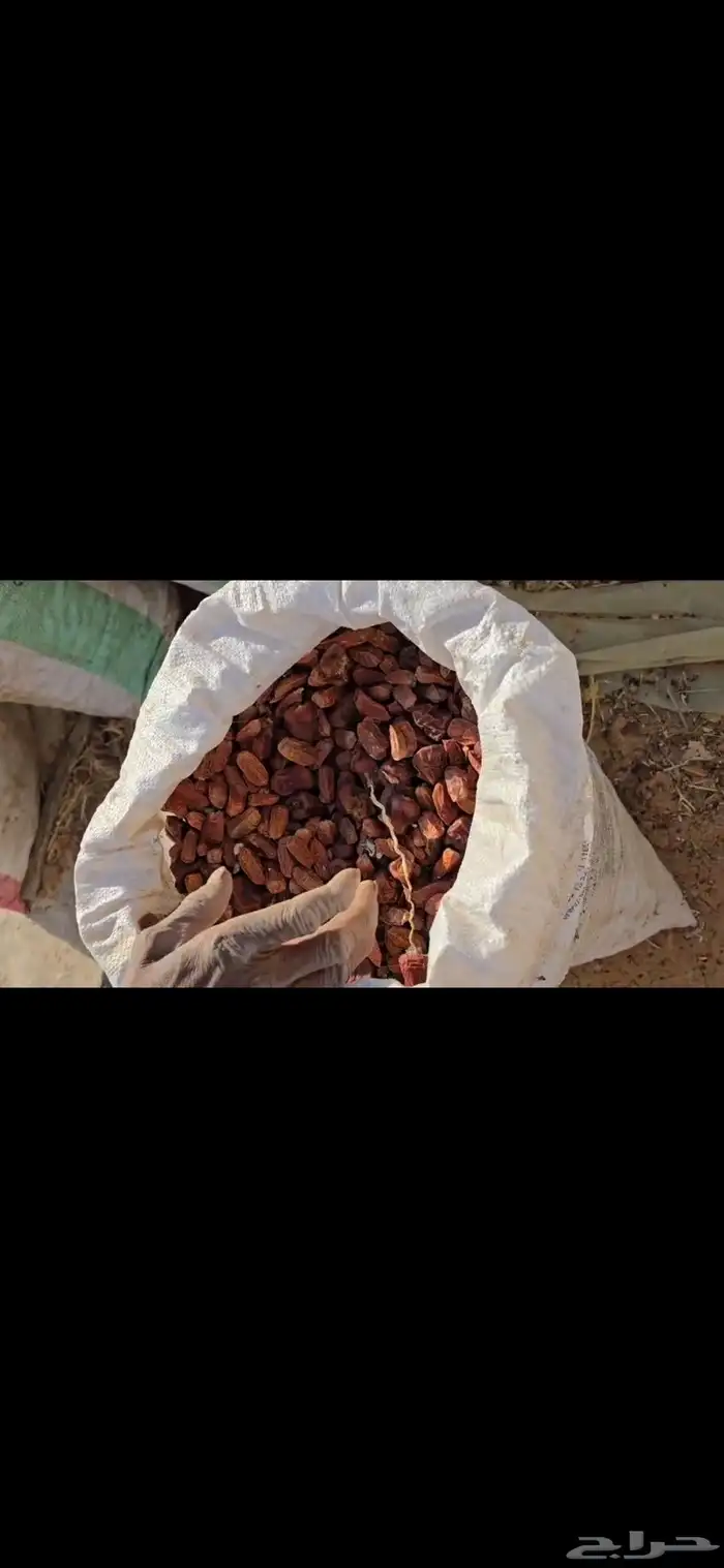 للبيع تمر حق العام ناشف شرط 0
