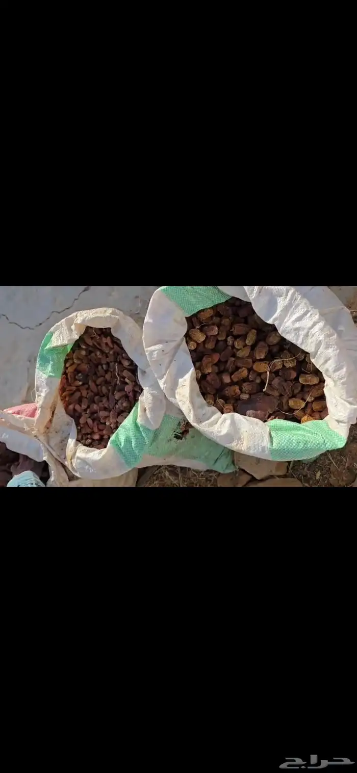 للبيع تمر حق العام ناشف شرط 2