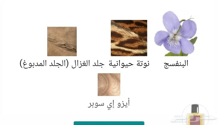 عطر The Essence Francesca Bianchi 2