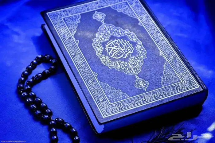 مطلوب شقة حدود 15.20الف الشوقيه. وادي جليل. جبل النور 057815 0