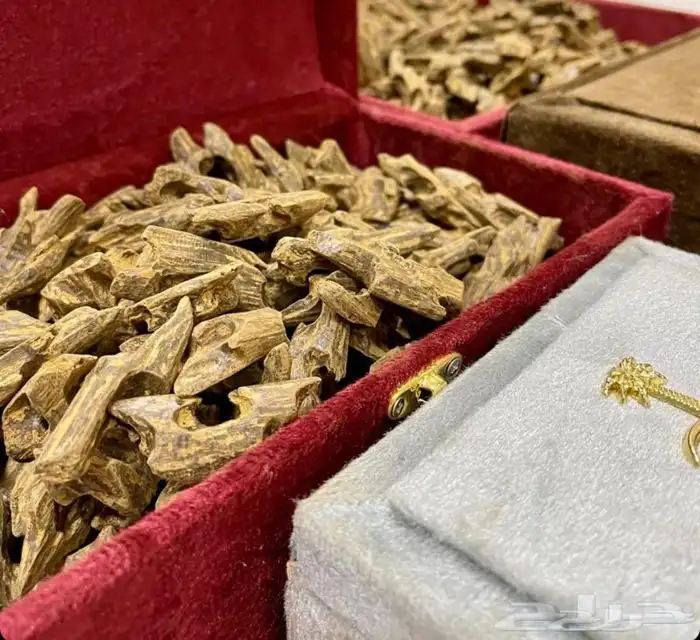 عود بخور فاخر بأسعار الجملة 2