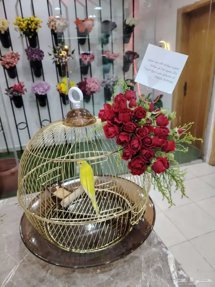 هدايا وورد خميس_مشيط وابها وتوصيل فوري 8