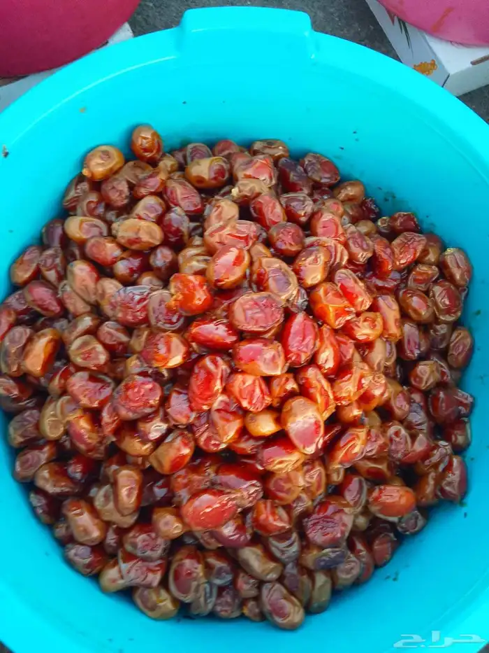 تمور حائل الفاخره 8